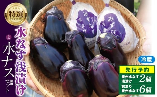 なす 005A058 【先行予約】特選 無添加 水なす漬け 徳用水ナス セット【食べ