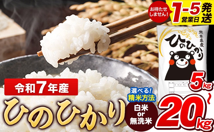 令和7年産 【総合ランキング1位獲得】 ひのひかり 白米 or 無洗米