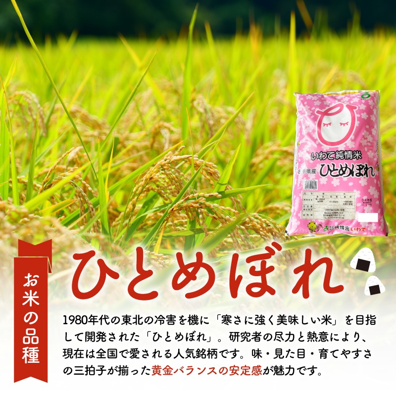 米 令和7年度産 ひとめぼれ 10kg | 2025年産 白米 お米 精米 ご飯