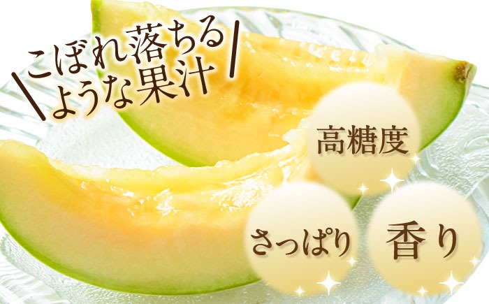 あーさんプリンスメロン9-10 2箱 2026年4月下旬～発送】【根強い人気！】 プリンスメロン 2箱