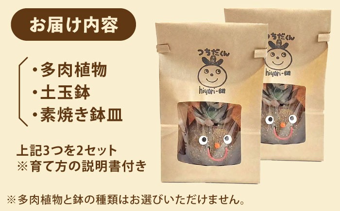 つちだくん2個セット 多肉 ポット セット 愛西市 / 花のひより園