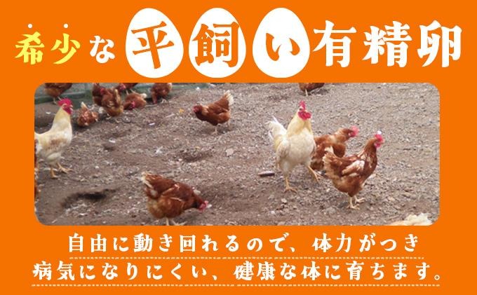 北海道 たまごの心 40個 Lサイズ 太陽の園 平飼たまご 有精卵 たまご