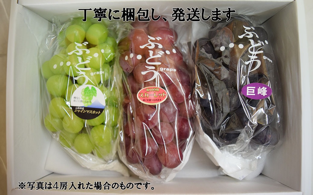 ぶどう粒食べ比べセット 3.7キロ 楽天市場】ぶどう食べ比べセットの通販