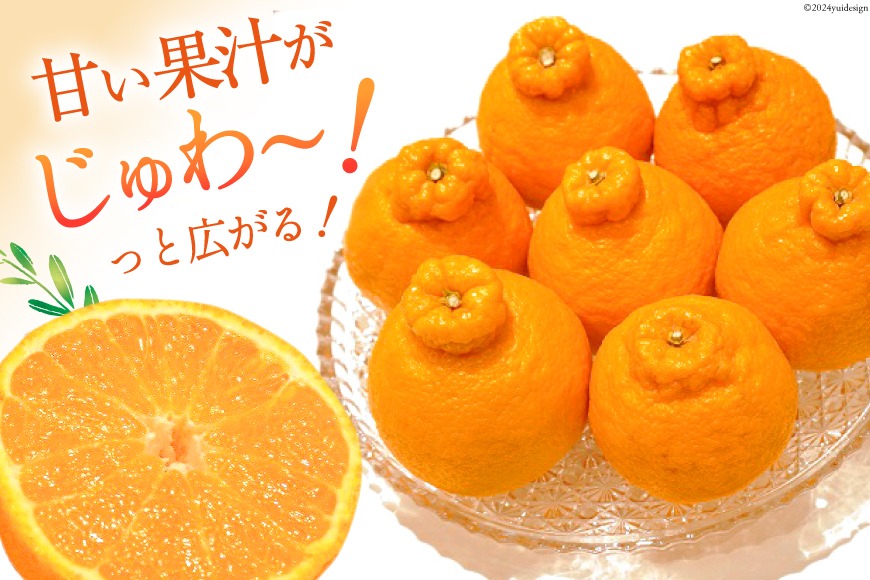 期間限定発送】じゅわーっと甘い 不知火 約3kg（ハウス栽培・化粧
