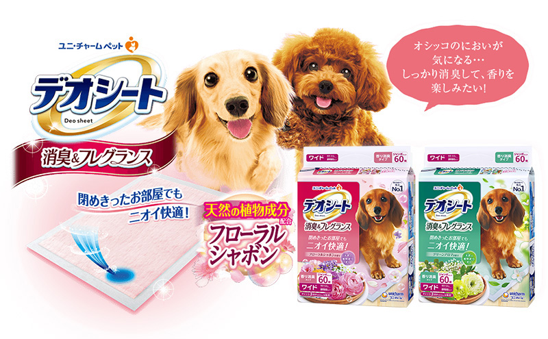 定期便3回】デオシート 消臭&フレグランス グリーンアロマの香り