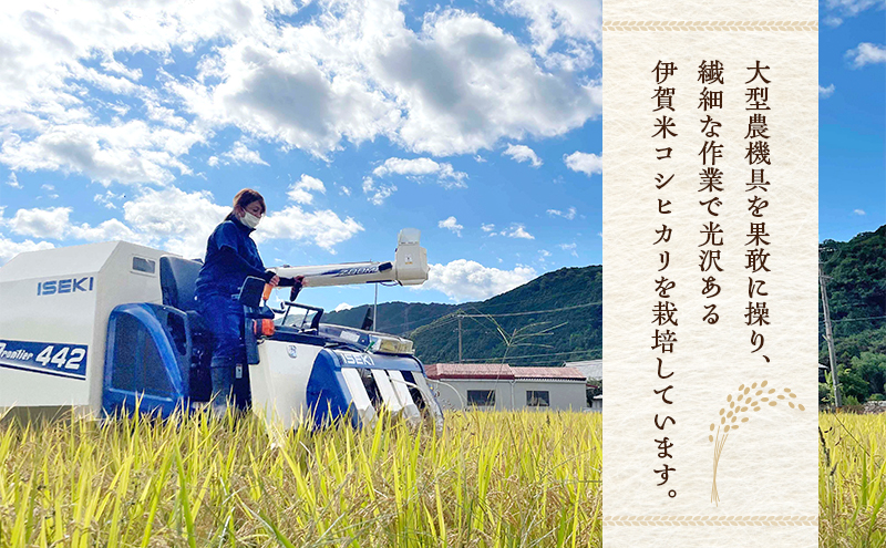 3姉妹が育てたお米 令和7年産 伊賀米コシヒカリ 10kg 三重県 名張市 特