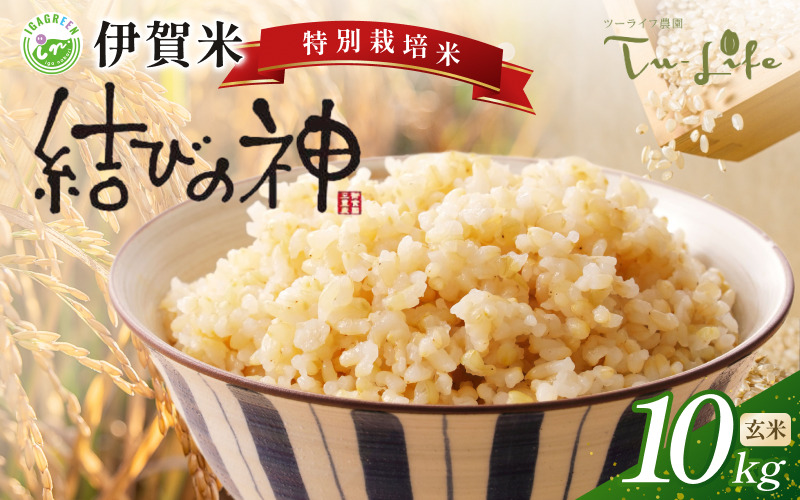 特別栽培米・伊賀米結びの神 10kg〈玄米〉【tuli0008A】（三重県伊賀市
