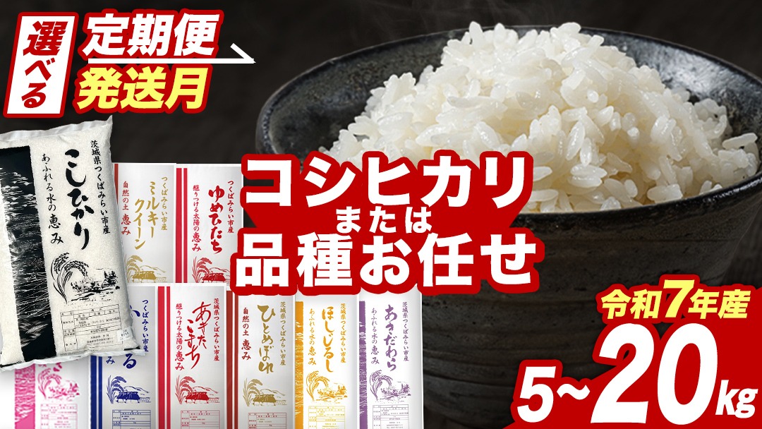選べる品種・発送時期 ／コシヒカリ・品種おまかせ・5kg 10kg 15kg