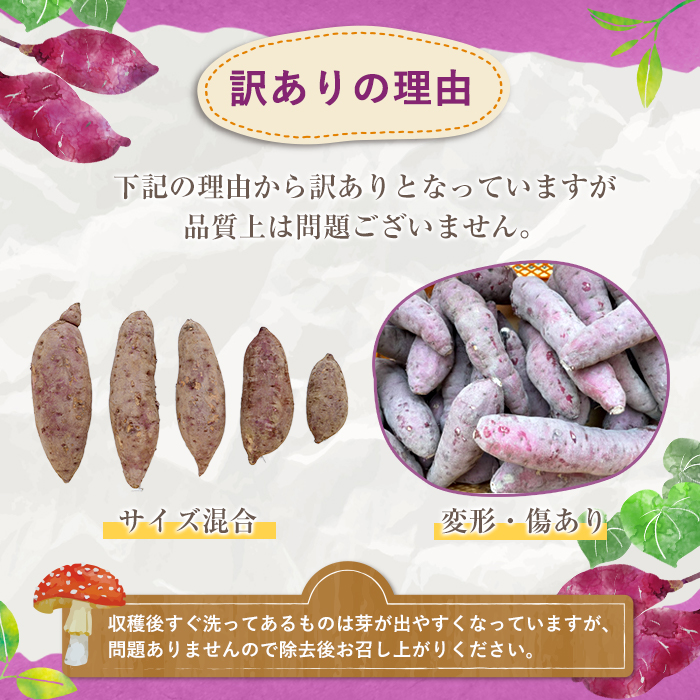 先行予約受付中！2026年8月下旬以降順次発送予定＞訳あり！さつまいも