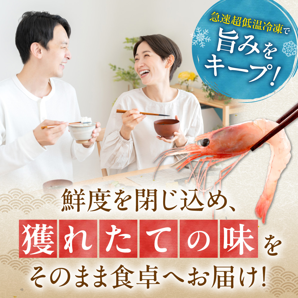 獲れたての味！北海道余市産 甘エビ 900g 300g×3パック 地元漁港直送