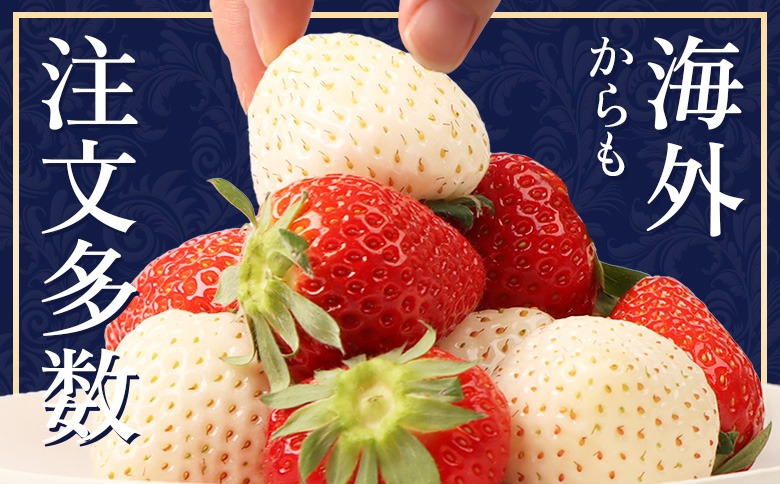 ゆきいちごです 2027年1月以降発送！】【北海道産】ゆきいちご（ゆきぼたん/すず）赤