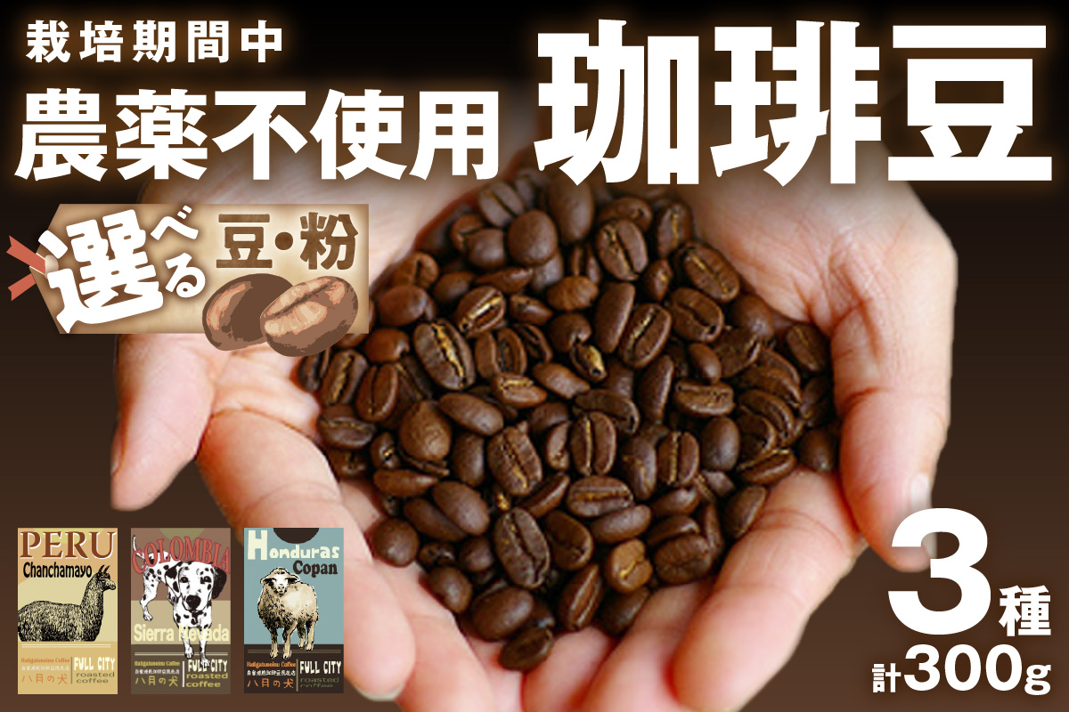 栽培期間中農薬不使用】自家焙煎コーヒー豆 お試しセット（100gx3種