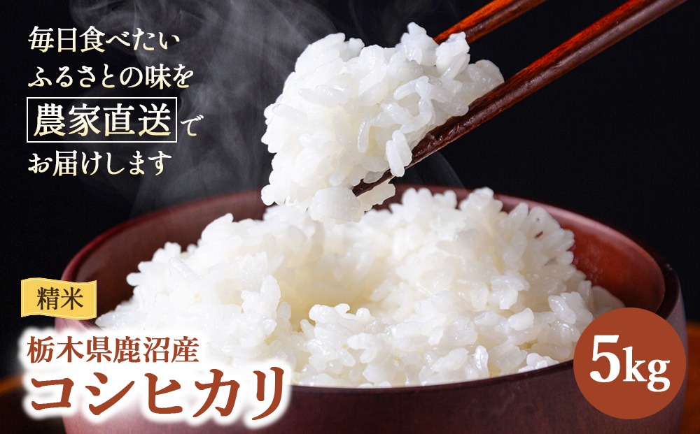 令和7年度産 コシヒカリ 精米 5kg | 白米 米 お米 こしひかり 農家直送