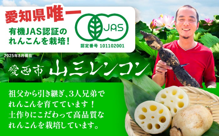 有機JAS認証 土付きレンコン 2kg れんこん 有機栽培 産地直送 野菜