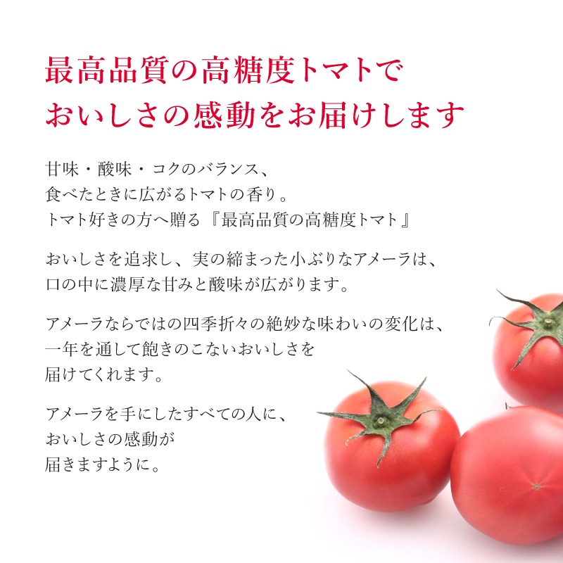 先行予約】アメーラ トマト ミニトマト 5パック セット
