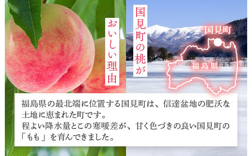 透過式光センサー川中島白桃 特秀3kg相当 9玉～11玉＜ ふくしま未来