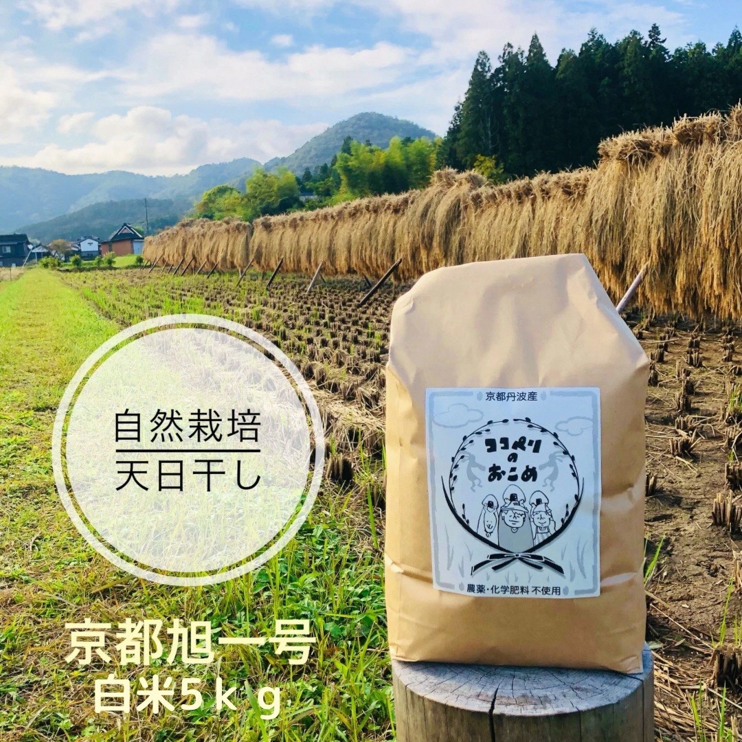 令和5年度★自然栽培天日干し米にこまる　20㌔ こだわりすぎたお米！自然栽培・天日干しの京都旭一号 白米5kg 栽培