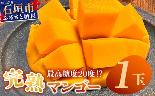 2026年6月下旬～7月下旬発送》【先行予約】最高糖度20度！？ 完熟！3L