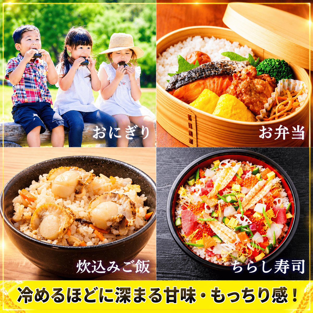 令和8年産 新米 キヌヒカリ 5kg (玄米) 明田のお米 玄米 お米 新米 南