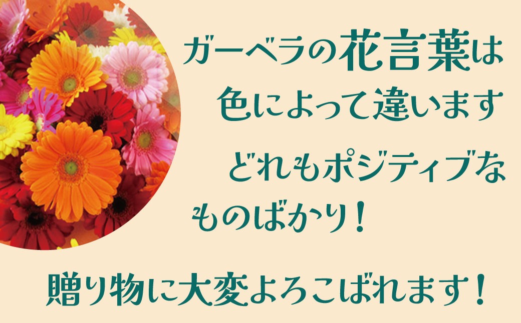 7ae08cbd-ce79-4e5f-9aad-