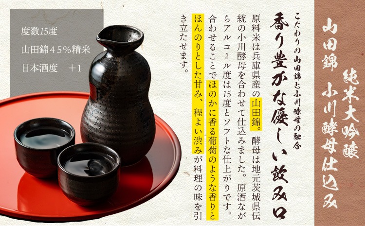 日本酒 武勇純米大吟醸 KAZE 720ml＆武勇純米大吟醸 山田錦小川酵母