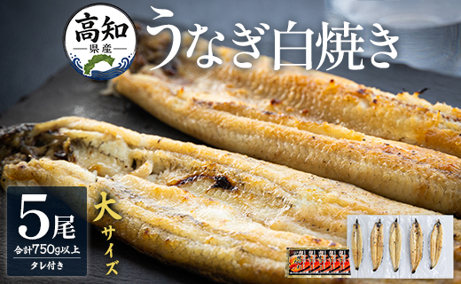 うなぎ 白焼き 吉川水産 高知県産うなぎの白焼き 大サイズ(150～180g