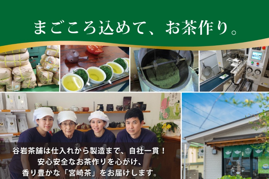 お茶 ティーバッグ 特撰 みやざき煎茶 10袋 セット [谷岩茶舗 宮崎県