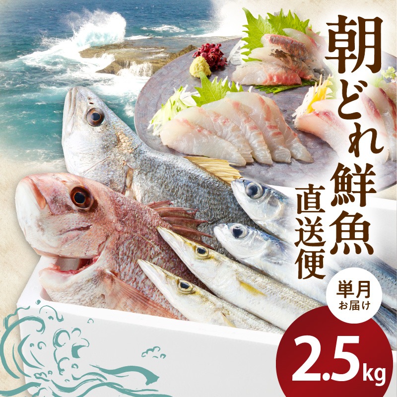 楽天市場】国産 ”しめさば” 3Lサイズ 約141〜170g×《12枚》 〆鯖