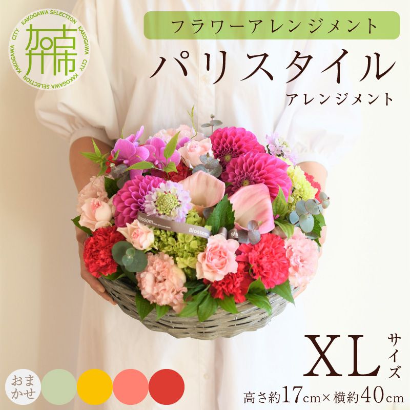 7b55269d-3b2d-4e59-a103-
