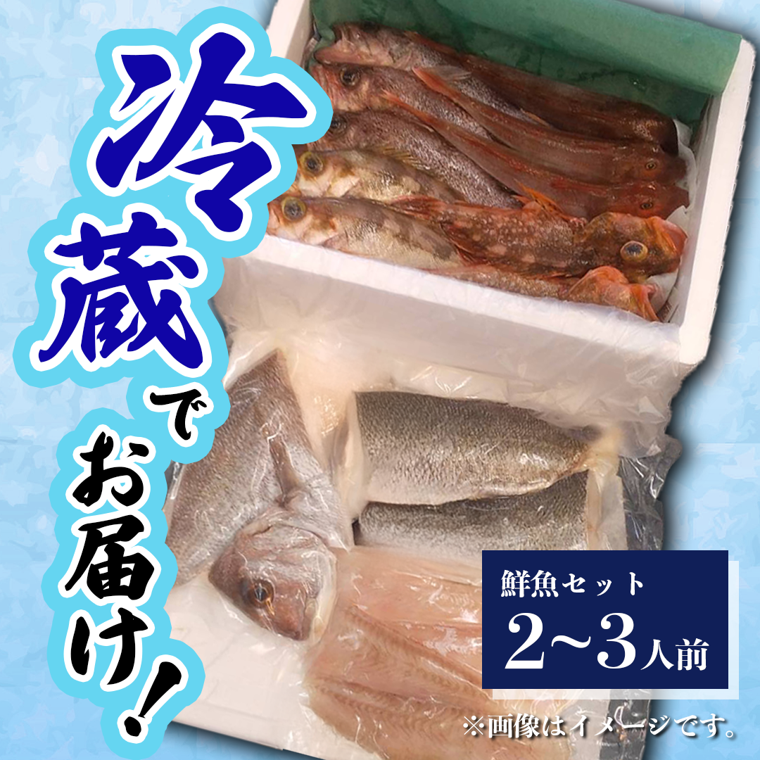 鮮魚 冷蔵 クール便「 開けたらすぐ食べられる下処理済み 海産物 2～3