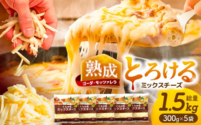 ミックスチーズセット 300g×5袋 計1.5kg チーズ モッツァレラ ゴーダ