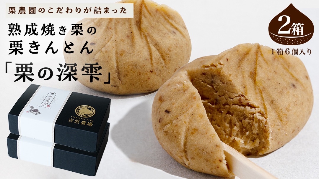 くりきんとん。 新杵堂 栗きんとん 和菓子 | G-Callショッピング