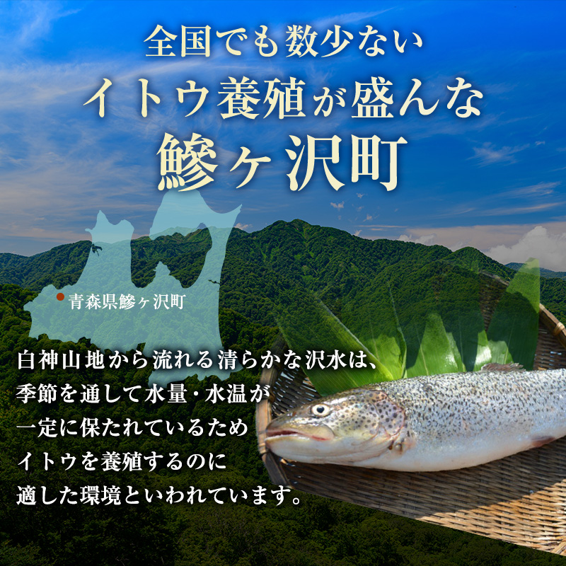 幻の魚イトウのうす造り（真空冷凍パック）170g×2パック 魚介類 （青森
