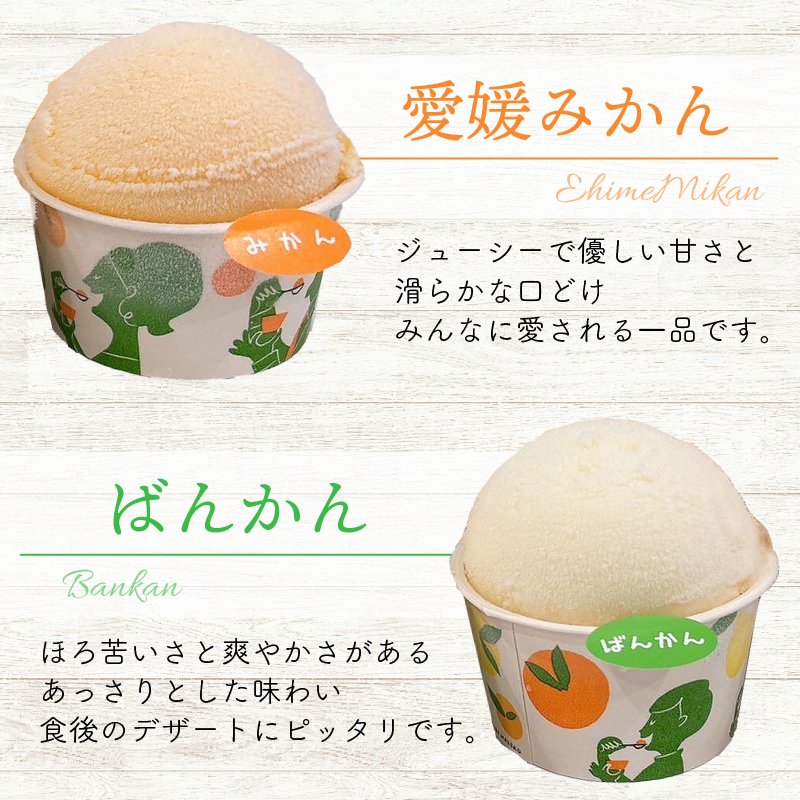 柑橘 カップ アイス 14個 (4種) 【 夢オレンジ 河内晩柑 愛媛みかん