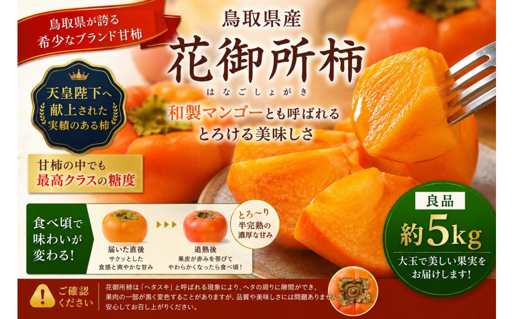 先行予約】【鳥取市産・良品】花御所柿 約5kg｜甘柿最高クラスの糖度