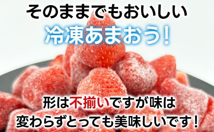 冷凍あまおう 福岡スイーツ自然の贈り物かわいい化粧箱入り 福岡県産