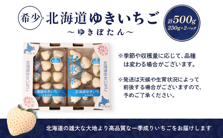 2027年1月以降発送！】【北海道産】ゆきいちご（白いちご） 2Pセット