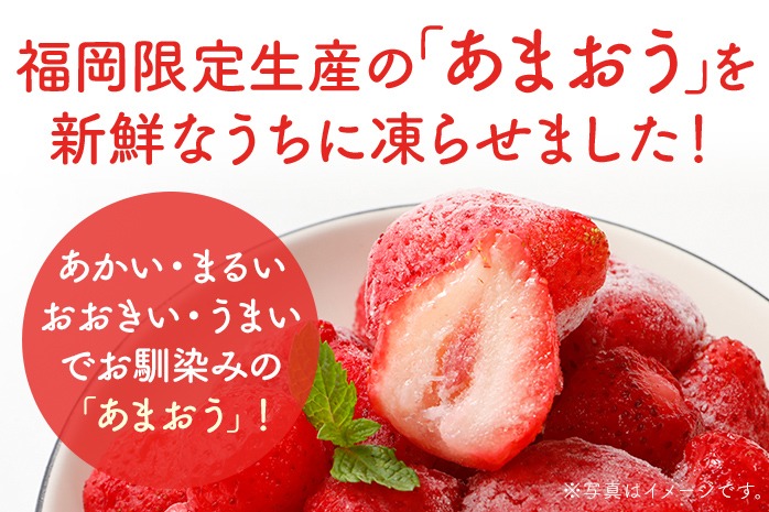 福岡県産【博多冷凍あまおう】 約1kg 産地直送 産直 朝採れ 朝