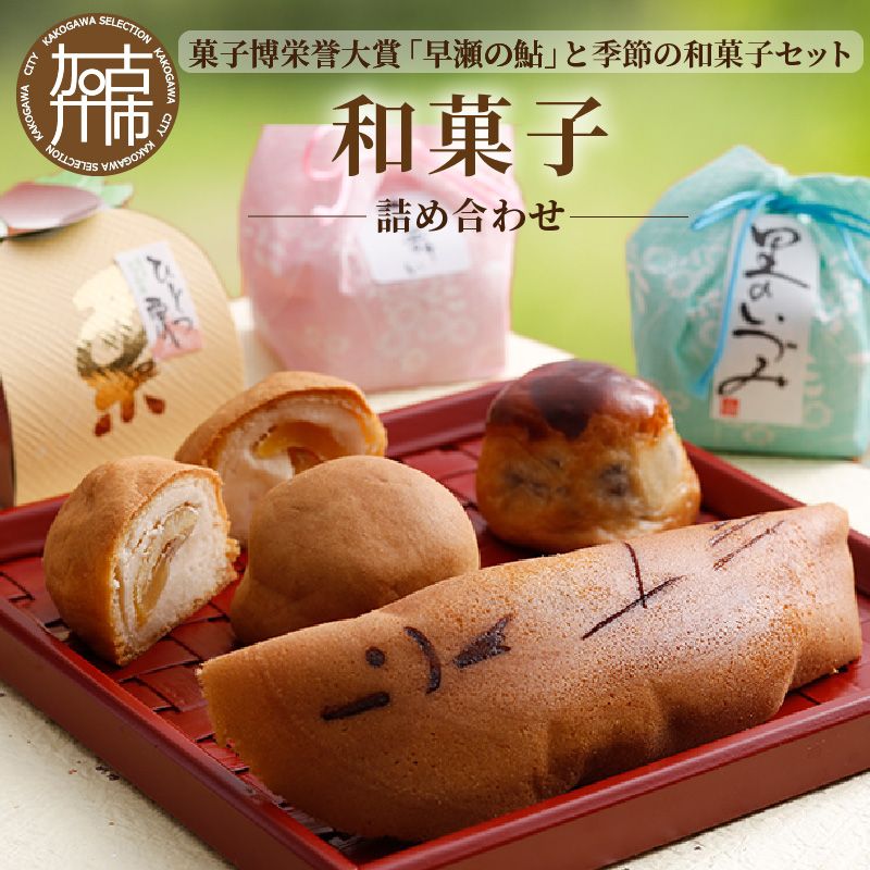 和菓子と有平糖のセット 和菓子詰め合わせ【2401H01801】（兵庫県加古川市） | ふるさと納税