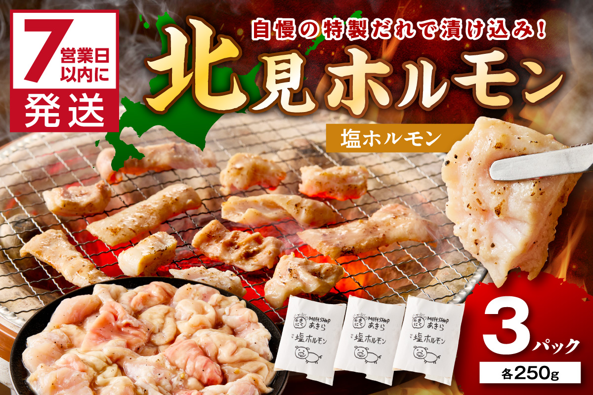 7営業日以内に発送》北見塩ホルモン 250g×3パック ( 焼肉 ホルモン 肉