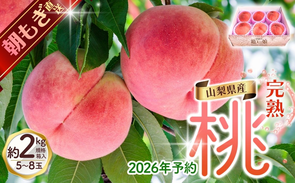 先行予約】朝もぎ直送!『山梨県産 桃』約5～8玉 約2kg規格箱入り【高
