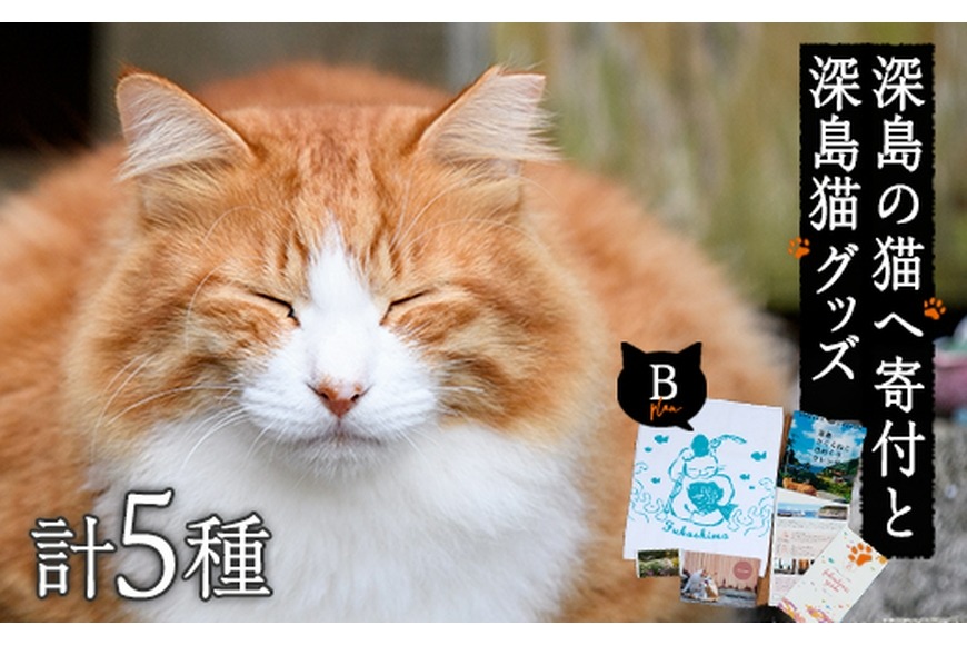 深島の猫へ寄付と深島猫グッズ (Bプラン・計5種) 猫 ネコ ねこ 寄附