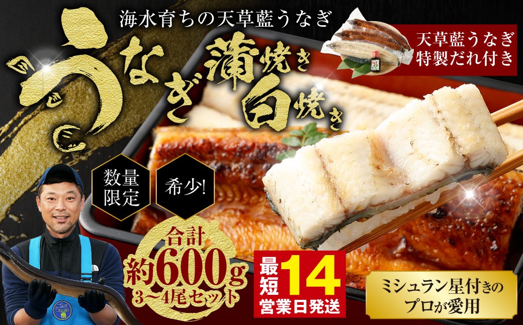 ミシュラン星付きのプロが愛用】海水育ちの天草藍うなぎ 紅白3～4尾
