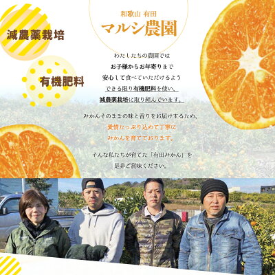 2026年先行予約】有田みかん 青秀 S,Мサイズ 約10kg 【ミカン 蜜柑