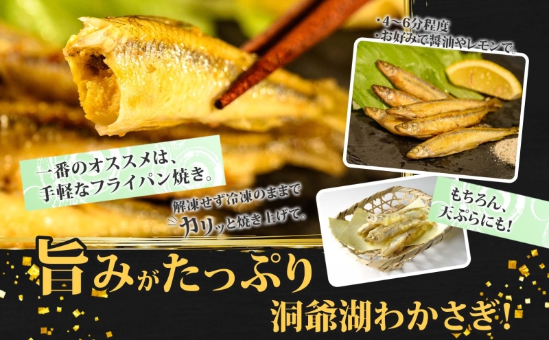 わかさぎの蔵【公魚】1本 Amazon | バリバス(VARIVAS) 公魚工房 ワカサギ仕掛け 基本 6本鈎-1号