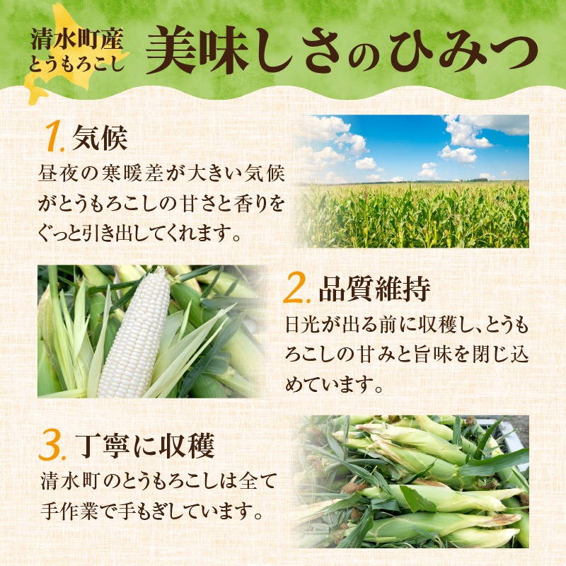 2026年8月～発送開始！】北海道十勝清水町産 希少品種！ 白い