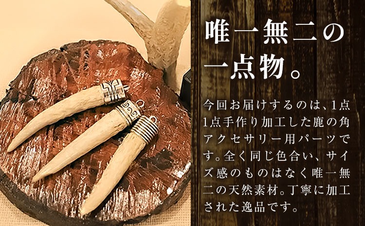 天然・鹿の角アクセサリー用パーツ 【配送不可地域あり】(離島