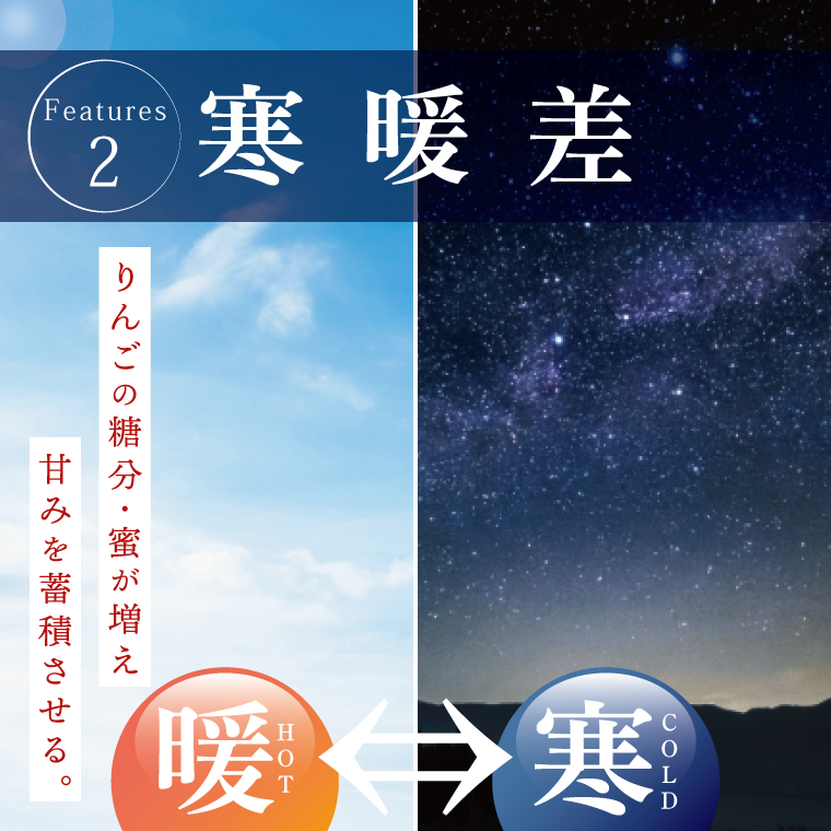 三村観光りんご園が誇る奥久慈りんご尽くしセット（ジュース720ml×2本