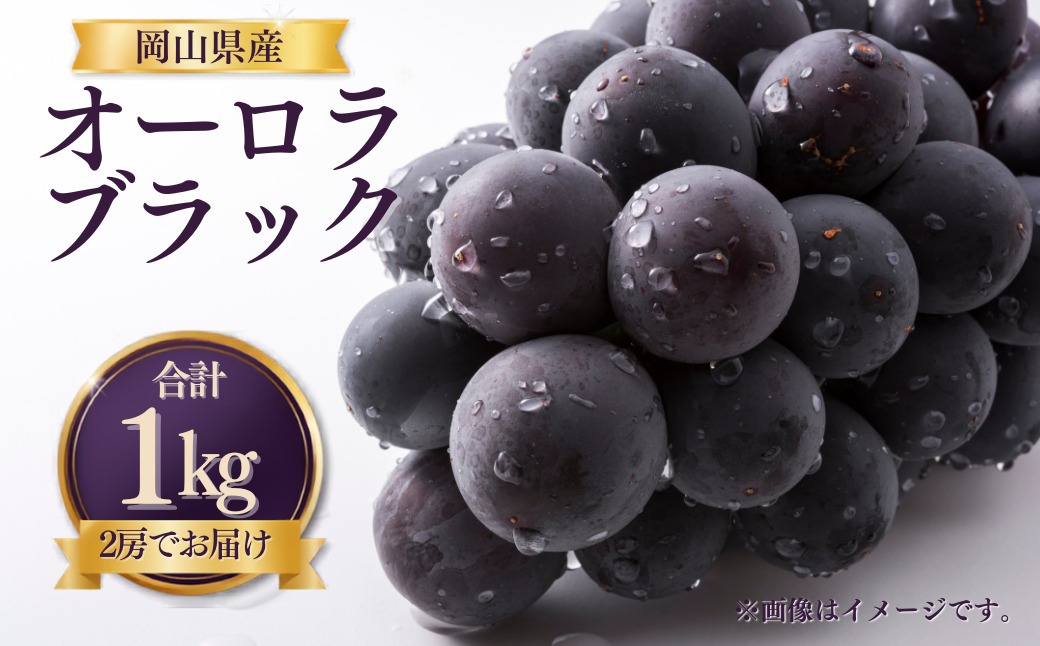 先行受付】 岡山県産 オーロラブラック 1kg（2房） | オーロラブラック