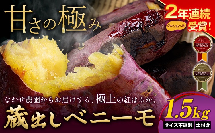 芋 熊本 県 大津 町産 なかせ 農園の蔵出しベニーモ 選べる 約 1.5kg